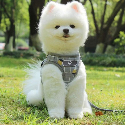 FEimaX Kutyahám Pórázzal - Puha, Légáteresztő Hálós Heveder Kisméretű Kutyáknak és Macskáknak, Állítható, Fényvisszaverő, M-es Méret, Szürke