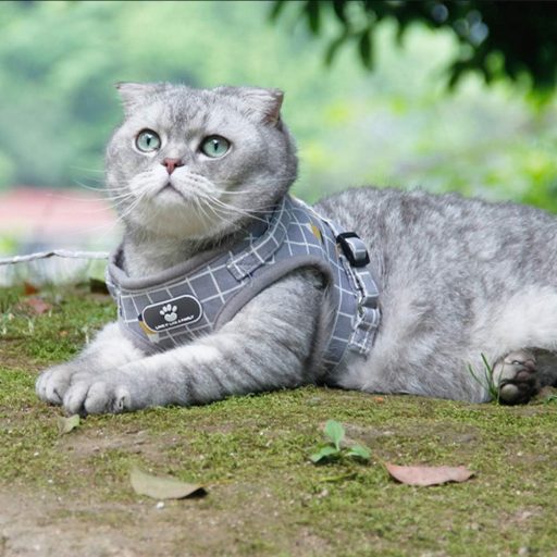 FEimaX Kutyahám Pórázzal - Puha, Légáteresztő Hálós Heveder Kisméretű Kutyáknak és Macskáknak, Állítható, Fényvisszaverő, M-es Méret, Szürke