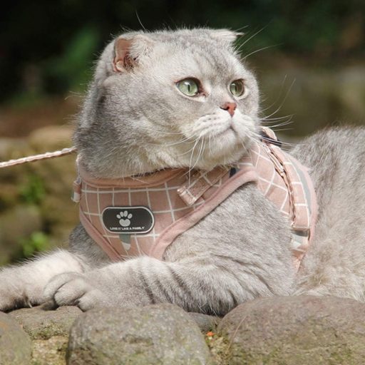 Ham cu Lesă FEimaX pentru Câini - Ham Moale, Respirabil, din Plasă, Ajustabil, Reflectorizant, Roz, Mărimea M, pentru Câini și Pisici de Talie Mică