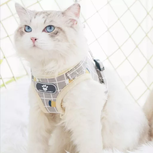 FEimaX Kisállat Hám Pórázzal - Puha Hálós Kutyahám Kistestű Kutyáknak és Macskáknak, Állítható, Fényvisszaverő, Légáteresztő Mellény Khaki S