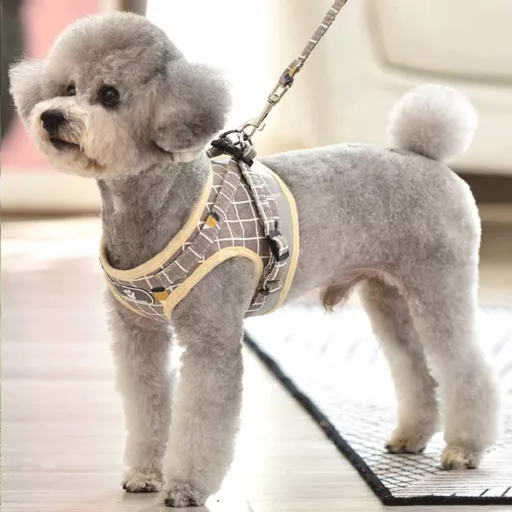 FEimaX Kisállat Hám Pórázzal - Puha Hálós Kutyahám Kistestű Kutyáknak és Macskáknak, Állítható, Fényvisszaverő, Légáteresztő Mellény Khaki S