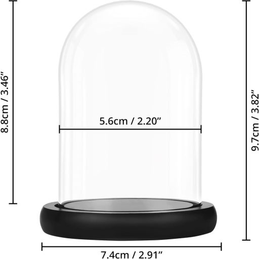 Clopot de sticlă Belle Vous cu bază de lemn neagră, 9,7 cm - decor