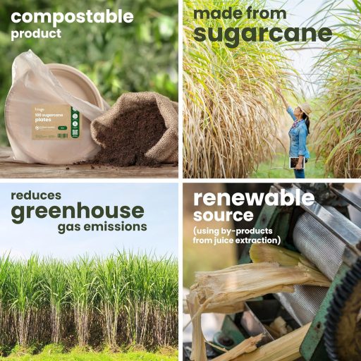 HAAGO 50ks Prémiové krabičky na hamburgery z cukrovej trstiny 990ml - Ekologické, biologicky rozložiteľné, kompostovateľné krabičky na jedlo so sebou 15cm