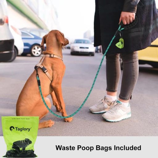 Zgardă pentru câini Taglory, 180 cm, nailon moale, cu bandă reflectorizantă, pentru câini de talie medie, turcoaz