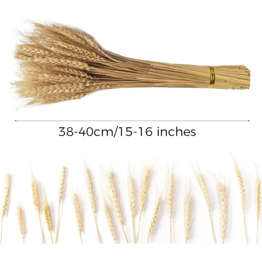 CoolCrafts 100 db Természetes Búzakalász Szárított Virág Dekorációhoz