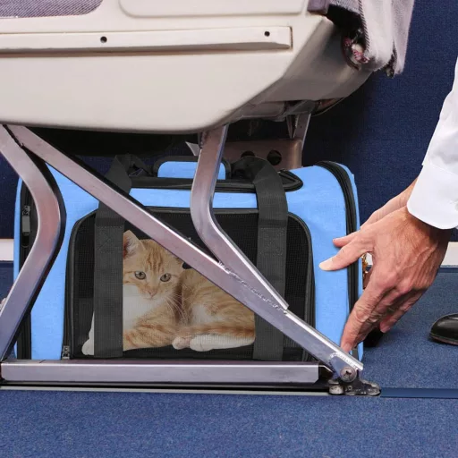 Qlfyuu összecsukható háziállat szállító box közepes kis kedvenceknek 25kg kék nagy