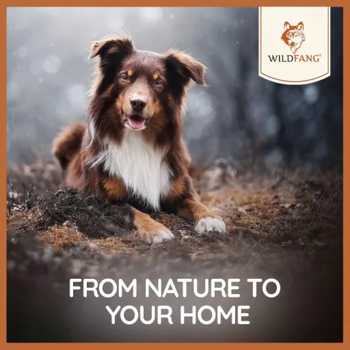 Wildfang Csipkebokor Rágógyökér Kutyáknak - Tartós Természetes Rágófa Játék Fogápoláshoz, Stressz Csökkentéshez, Rágóizom Erősítéshez - 3 db