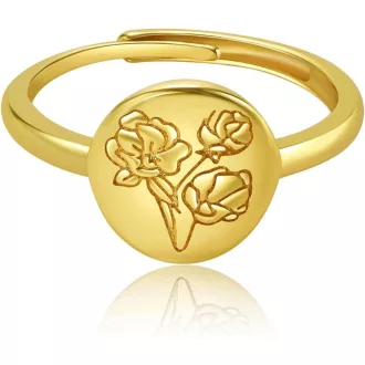   PLAINSHE Női 18K Aranybevonatú Gyűrűk, Gravírozott Pecsétgyűrű, Minimalista Állítható Statement Gyűrű