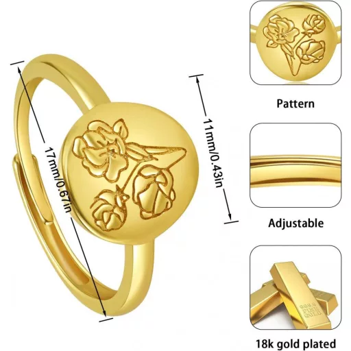 PLAINSHE Női 18K Aranybevonatú Gyűrűk, Gravírozott Pecsétgyűrű, Minimalista Állítható Statement Gyűrű