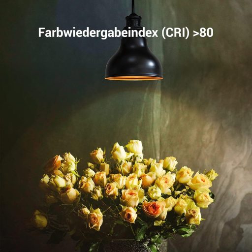 EDISHINE E27 LED Žiarovka 2700K Teplá Biela, 10W 1000LM Stmievateľná, Náhrada za 60W Klasickú Žiarovku, Energeticky Úsporná, Balenie 6 ks