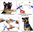 LED-es világító nyakörv kutyáknak, USB-s, vízálló, 3 fénymóddal, állítható