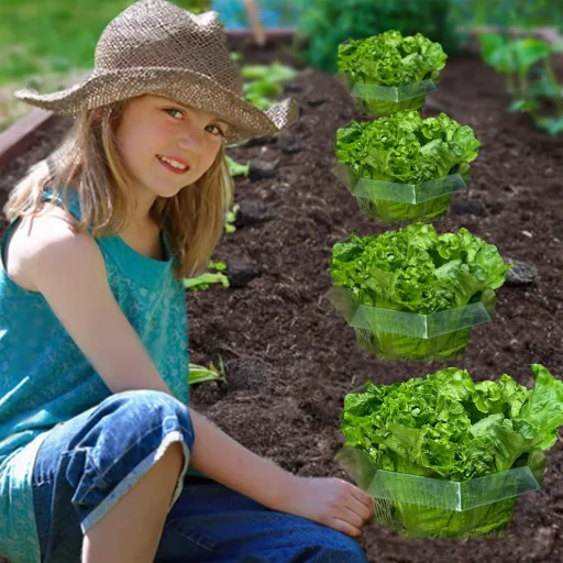 Set 20 bucăți gulere anti-melci Sunshine smile - Inele din plastic anti-melci pentru grădină, protecție eficientă a plantelor fără chimicale, design care economisește apă