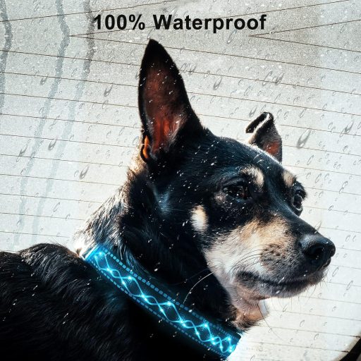 LED-es világító nyakörv kutyáknak, kék, USB-s, vízálló, állítható