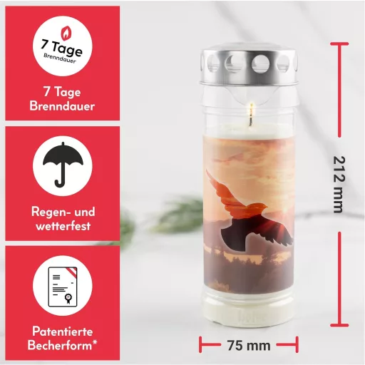 Set 6 lumânări de mormânt Hofer Friedlicht cu durată de ardere de 7 zile și capac rezistent la ploaie - Longing Select