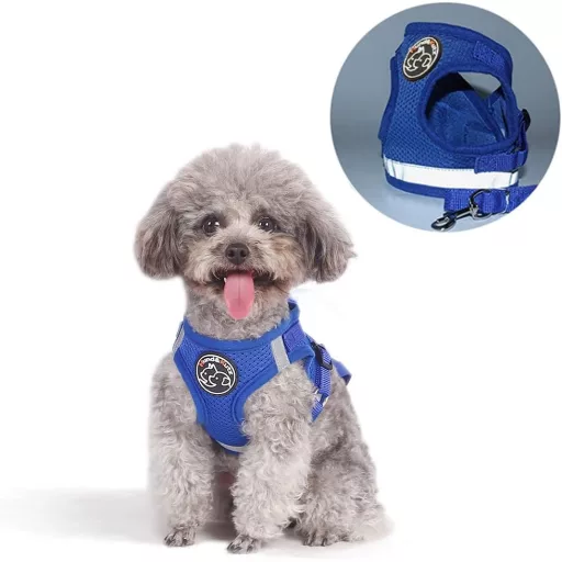 Hund&Kutz Súprava postroja pre psa s vodítkom, nastaviteľná vesta pre psov a mačky, s reflexnými prúžkami, modrá, veľkosť S