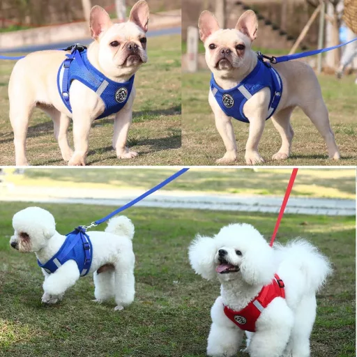 Hund&Kutz Súprava postroja pre psa s vodítkom, nastaviteľná vesta pre psov a mačky, s reflexnými prúžkami, modrá, veľkosť S