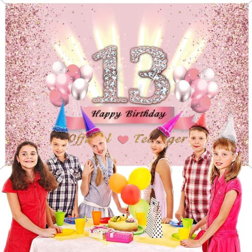 Dekorácia na 13. narodeniny pre dievčatá - Banner Oficiálne tínedžerka