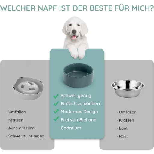 SPUNKYJUNKY Keramická dvojmiska s bambusovým stojanom pre mačky a psy 400 ml zelená