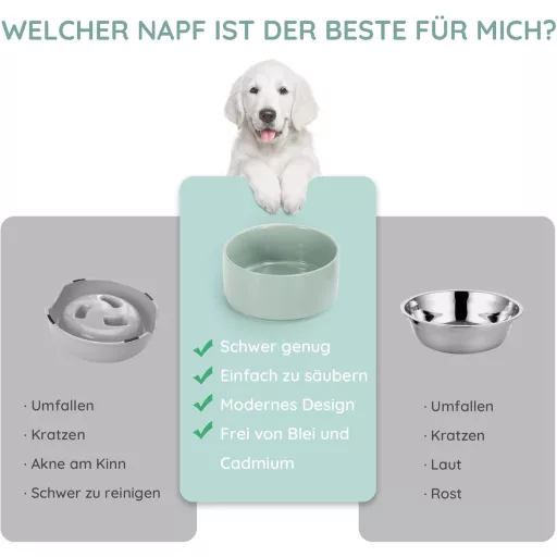 SPUNKYJUNKY Keramická dvojmiska s bambusovým stojanom pre mačky a psy 850 ml, svetlozelená