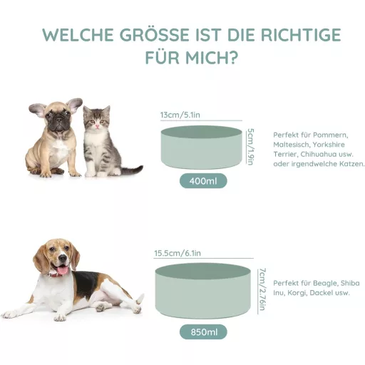 SPUNKYJUNKY Keramická dvojmiska s bambusovým stojanom pre mačky a psy 850 ml, svetlozelená