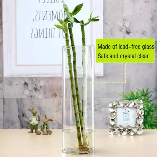 TSKDKIT cilindrična staklena vaza 30 cm - Prozirna debela staklena vaza za orhideje, ruže, tulipane, pampas travu - Stolni ukras
