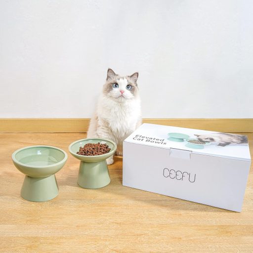 CEEFU Povišeni Keramički Set Posuda za Mačke - 2 Izuzetno Široke Zdjelice sa Zaštitom za Brkove, Perive u Perilici Posuđa, Zelene Posude za Hranjenje za Sve Pasimine Mačaka
