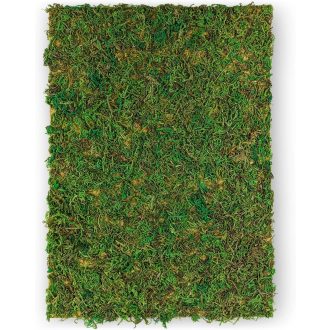   Netuno Moha Mahovina Zelena A4 297x210mm Dekoracija na prirodnoj mahovini tekstilnoj podlozi za rukotvorine Uskrs Božić Aranžiranje cvijeća