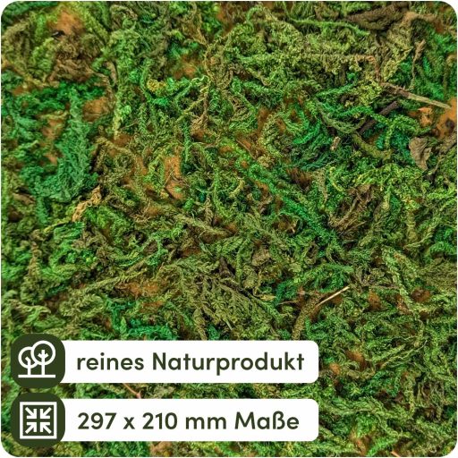 Netuno Moha Mahovina Zelena A4 297x210mm Dekoracija na prirodnoj mahovini tekstilnoj podlozi za rukotvorine Uskrs Božić Aranžiranje cvijeća