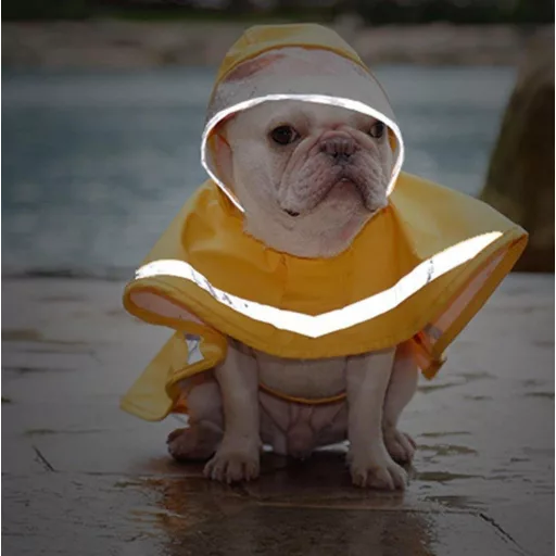 Hordozható Teljesen Vízálló Kutya Esőkabát Méret: M, Fényvisszaverő Csíkokkal Nagy Kutyákhoz Újracsomagolt termék