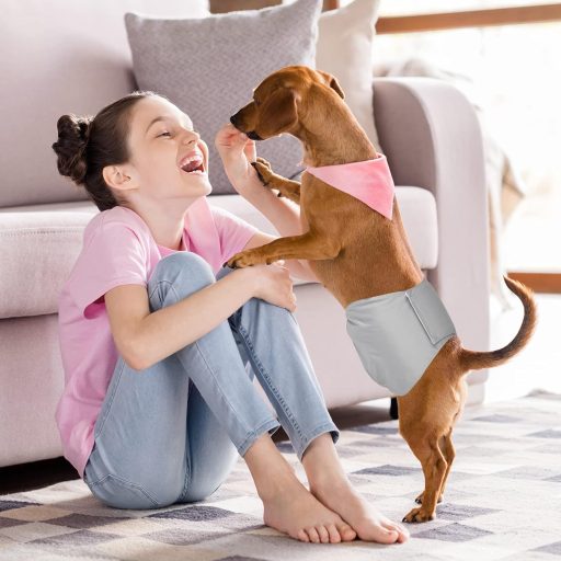 Avont 3 db Férfi Kutyapelenka Szett, Mosható Hasbanda Inkontinencia Elleni Kutyáknak, Fekete/Barna/Szürke