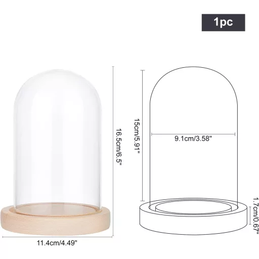 NBEADS Stakleno Zvono s Drvenim Postoljem 16,5 cm Prozirna Kupola Vitrina Dekoracija s Tacnom Vječna Ruža LED Rasvjeta Izložba