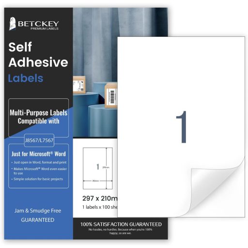 BETCKEY Etichete autoadezive A4, finisaj mat, 20 coli, pentru imprimante inkjet și laser