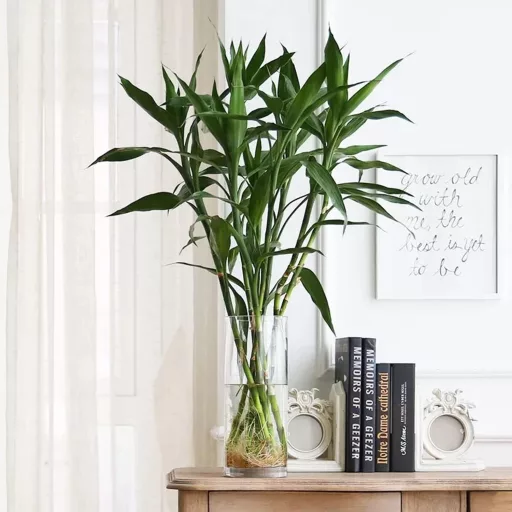 Vază de Sticlă Suflată Manual TSKDKIT - Vază de Cristal de 20 cm Înălțime, Vază Cilindrică, Suport Lumânare, Ghiveci pentru Decorațiuni Acasă și la Birou, Cadou