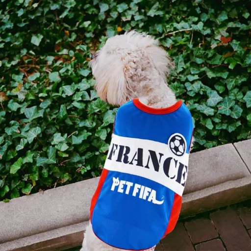Könnyű és Kényelmes Háziállat Futballmezes Mellény, Franciaország Témájú
