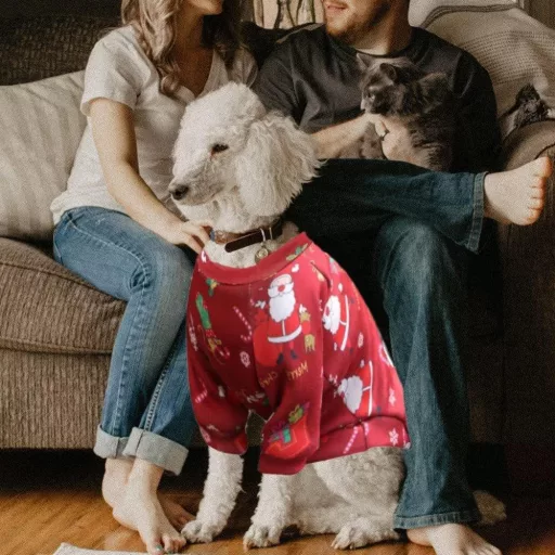 Božićni pleteni pulover za pse - mala veličina (S)