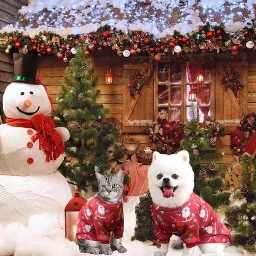 Božićni pleteni pulover za pse - mala veličina (S)