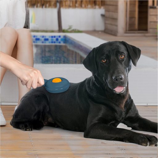 Cleanpet Öntisztító Kefe Rövid Szőrű Kutyáknak és Macskáknak - Kék