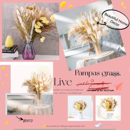 Tycons Pampas Grass 80 db Száraz Virág Dekoráció Boho Stílusú Lakáshoz