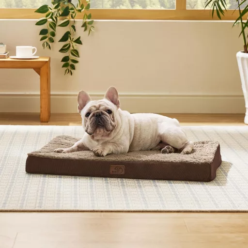 Bedsure Pat Ortopedic pentru Câini de Talie Mică - 76x51x7,6 cm, Saltea Pluș Lavabilă pentru Câini, cu Bază Antiderapantă, Maro
