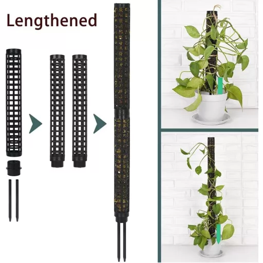 RURIZHONGTIAN-1 Monstera Növénytámasz Szett - 6 db Mohakaró, Kókuszrost Rúd, Kúszónövény Támasz, Beltéri Növényekhez, Filodendronhoz