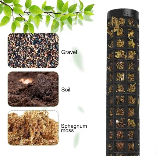 RURIZHONGTIAN-1 Set suport pentru plante Monstera - 6 tutori de mușchi, stâlpi din fibră de cocos, suport pentru plante cățărătoare, pentru plante de interior, filodendron