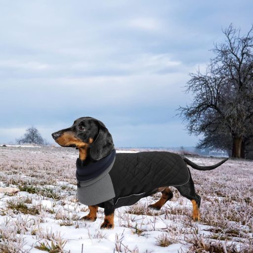 Geyecete Tacskó Téli Kutyakabát Meleg Steppelt Fekete L-es Szélálló