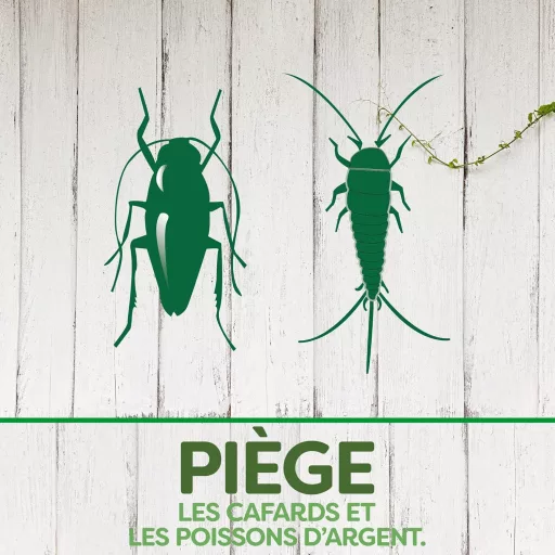 Pyrel Csótányirtó és Ezüsthalak Elleni Szer Vegyszermentes