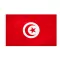 Steag Internațional Tunisia 150x240 cm, material rezistent cu ochiuri.