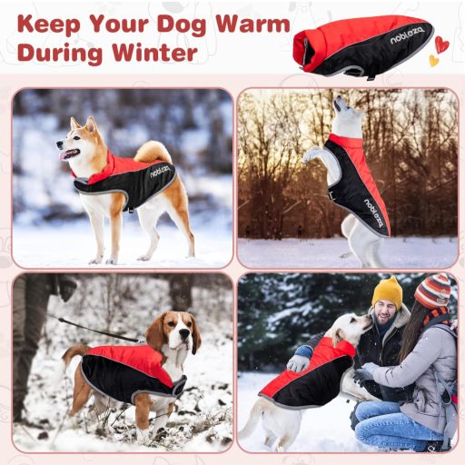 Nobleza Haină de câine Iarnă Impermeabilă Rezistentă la vânt Reflectorizantă XXL Roșie