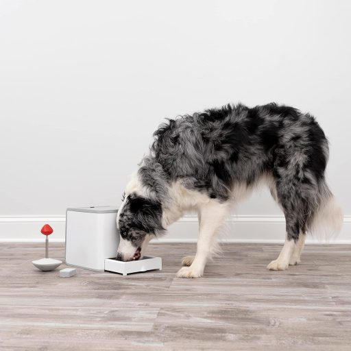 PetSafe Teach and Treat távirányítós kutyaedukátor jutalmazó tréner pozitív megerősítés