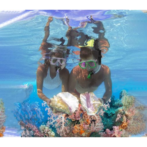 HH HHAO SPORT Felnőtt Búvárszett - Edzett Üveg Búvármaszk, Száraz Légzőcső, Úszólábak és Hordtáska - Unisex Snorkel Készlet 36-41 Méret

AI: