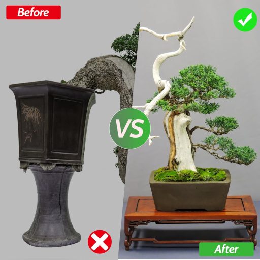 Heveer Bonsai Drót 5 Tekercs 25m Alumínium Növénykötöző Drót Drótcsipesszel