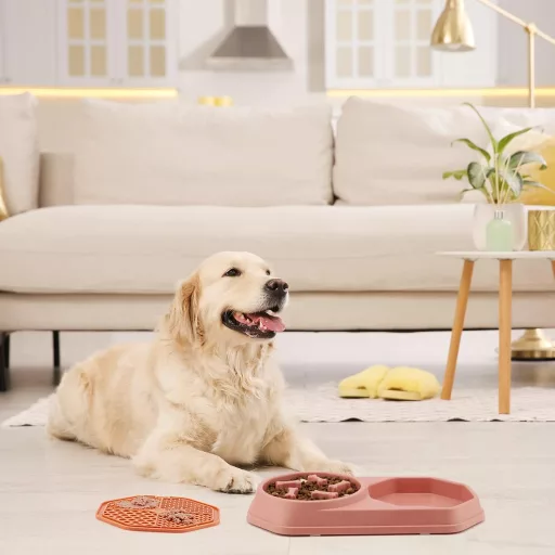 Bol lent pentru câini Doweiss cu covoraș de lins, bol multifuncțional