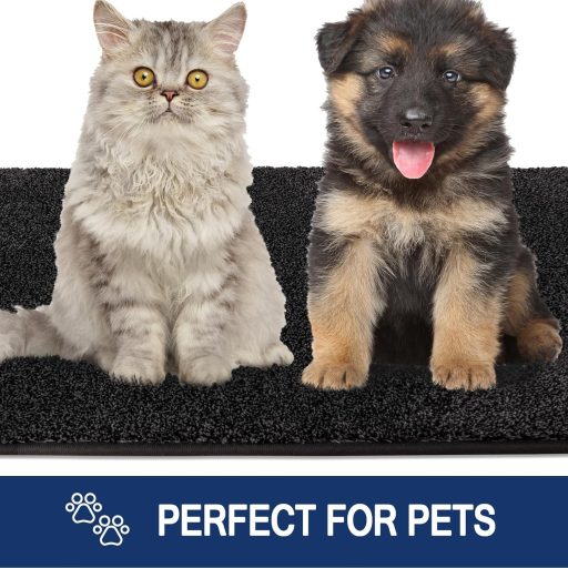 FCSDETAIL Szennyeződésfogó Lábtörlő 50x80cm, Csúszásmentes Mosható Bejárati Szőnyeg